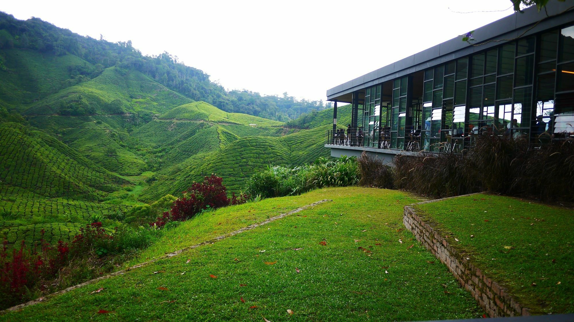 Zetter Suites @ Cameron Cameron Highlands Eksteriør bilde